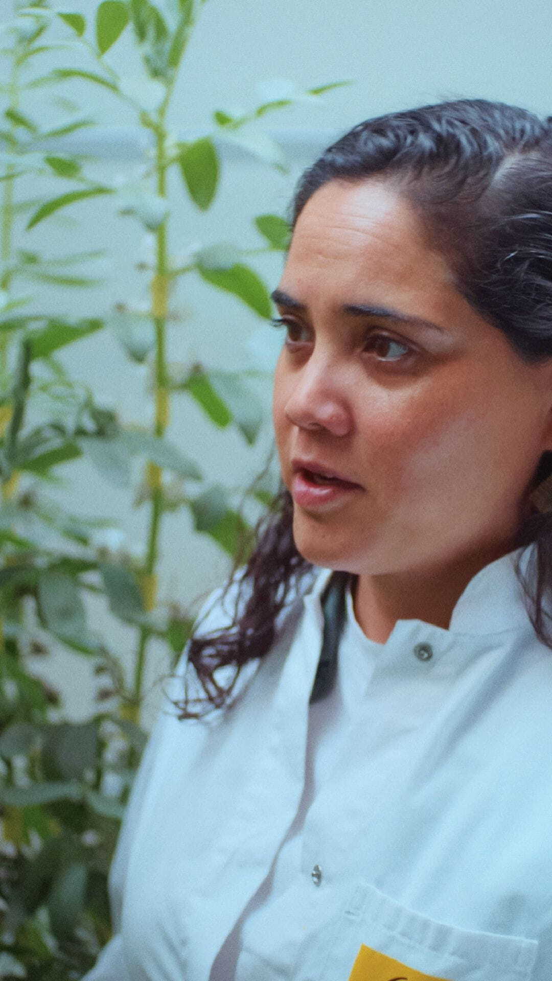 State of Denmark Science Hub Denmark Biosolutions Researcher, Marcela from Mexico